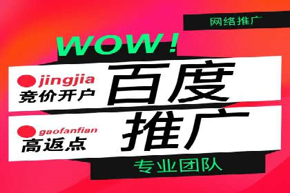 搜索开户返点政策下的成功案例分析